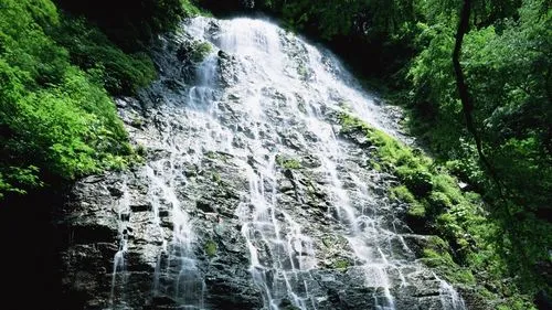 高性能智慧稳定性